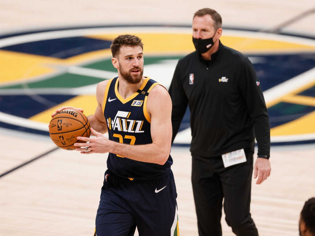 这与其高效 这与其高效